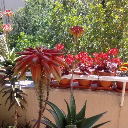 Guest house Riki Split
